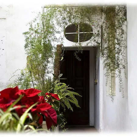 Florence Rental Daire Floransa